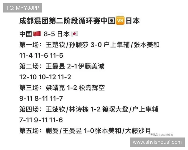 成都排球队在全国锦标赛中的团队协作表现及其影响分析